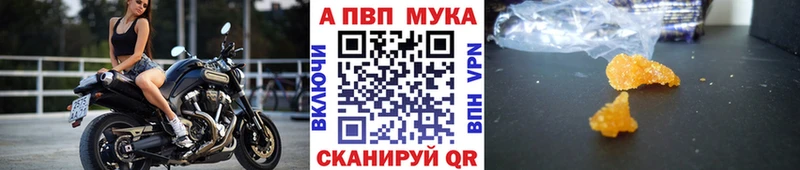 закладки  Бежецк  A PVP СК КРИС 