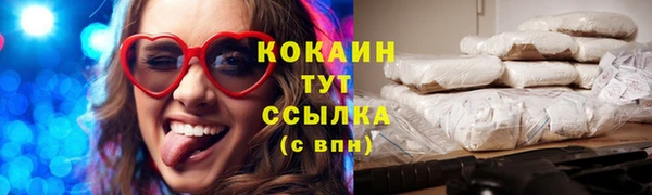 шишки Осинники