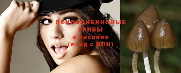 МДПВ Осташков