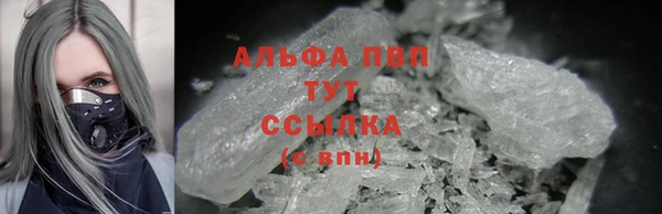 шишки Осинники