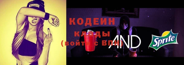 шишки Осинники