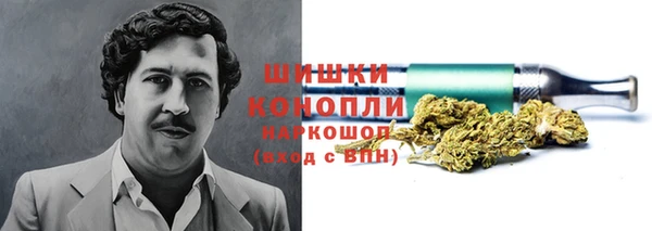 шишки Осинники